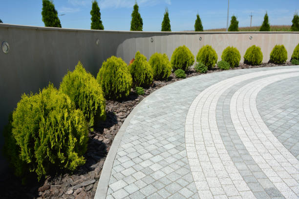 Reasons to Select Us for Your Driveway Paving Requirements in New Providence, NJ